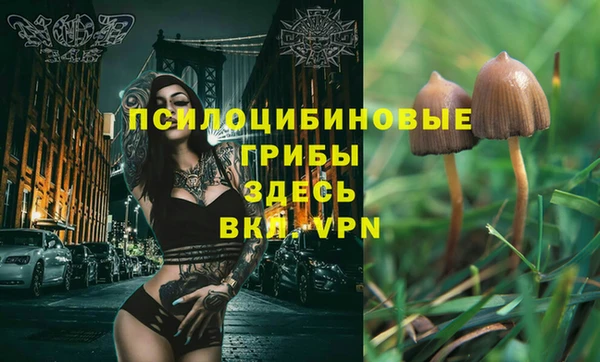 индика Алзамай