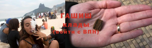 индика Алзамай