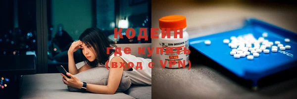 индика Алзамай