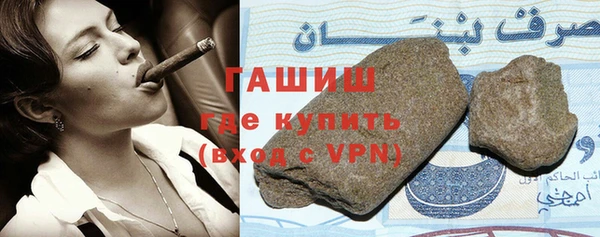 индика Алзамай