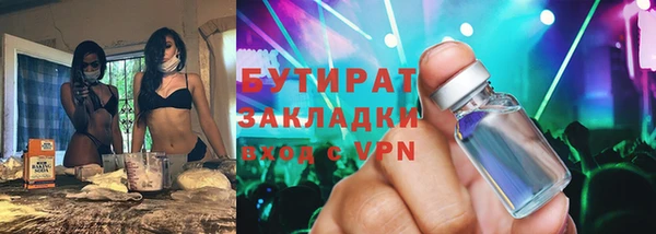 индика Алзамай
