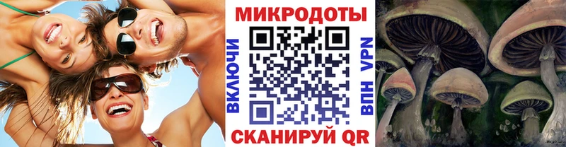 Галлюциногенные грибы Psilocybine cubensis  Челябинск 